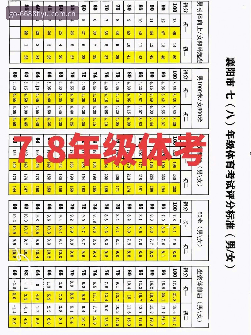 6688体育最新版本深度评测：从架构革新到体验升级的全方位解析